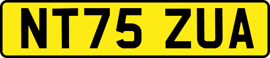 NT75ZUA