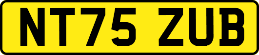 NT75ZUB
