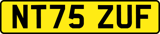 NT75ZUF