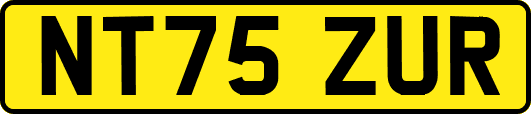 NT75ZUR