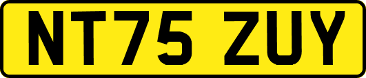 NT75ZUY