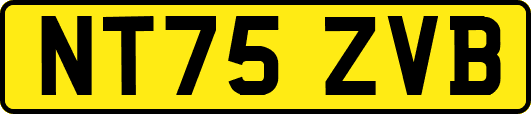 NT75ZVB