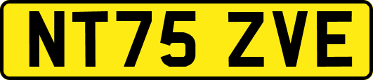 NT75ZVE