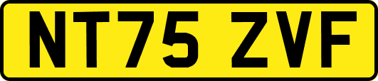 NT75ZVF