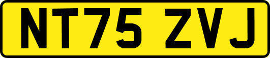 NT75ZVJ