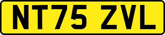 NT75ZVL