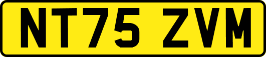 NT75ZVM