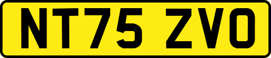 NT75ZVO