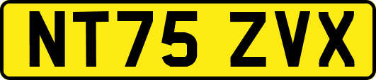 NT75ZVX