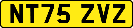 NT75ZVZ
