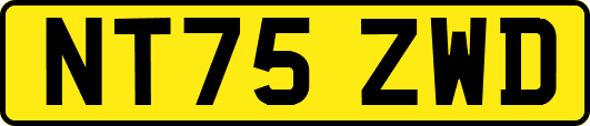 NT75ZWD