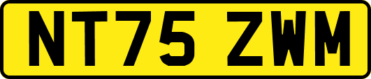 NT75ZWM