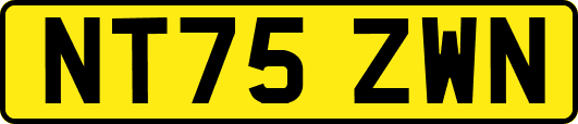 NT75ZWN