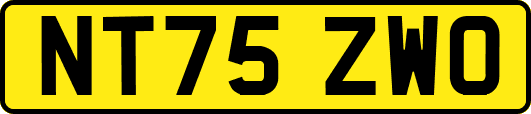 NT75ZWO