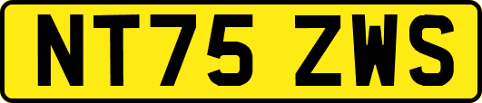 NT75ZWS