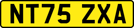 NT75ZXA