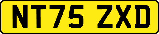 NT75ZXD