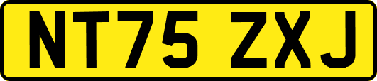 NT75ZXJ