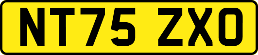 NT75ZXO