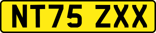 NT75ZXX