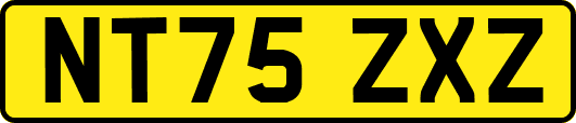 NT75ZXZ