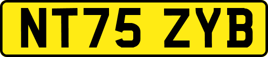 NT75ZYB