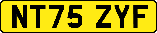 NT75ZYF