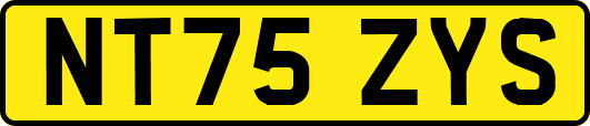 NT75ZYS