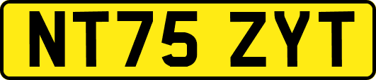 NT75ZYT
