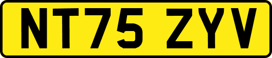 NT75ZYV