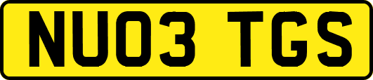 NU03TGS