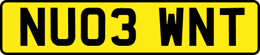 NU03WNT