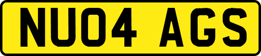 NU04AGS