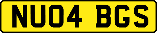 NU04BGS