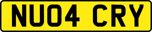 NU04CRY