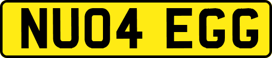 NU04EGG