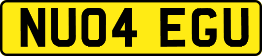 NU04EGU
