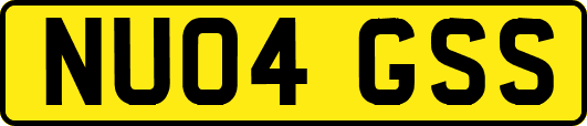 NU04GSS