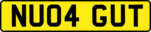 NU04GUT