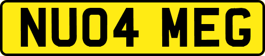 NU04MEG
