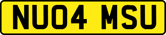 NU04MSU