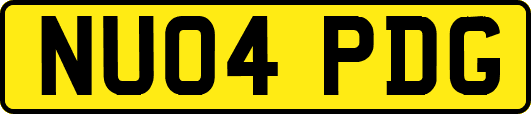 NU04PDG