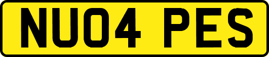 NU04PES