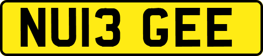 NU13GEE