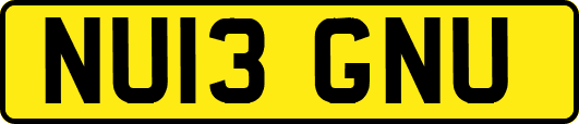 NU13GNU