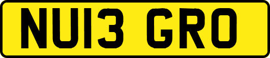 NU13GRO