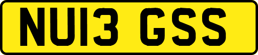 NU13GSS