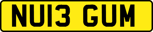 NU13GUM