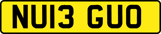 NU13GUO