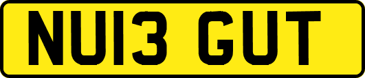 NU13GUT